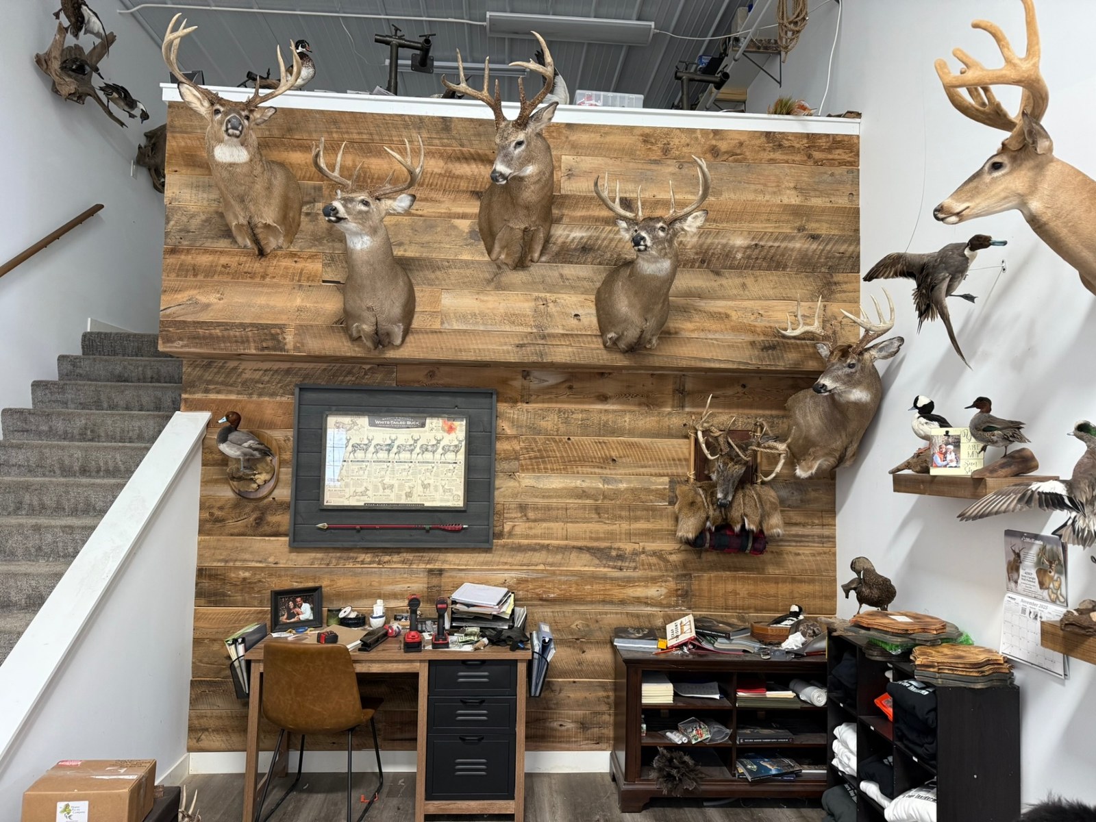 Rivers Edge Taxidermy shop interior with whitetail mounts on reclaimed wood walls